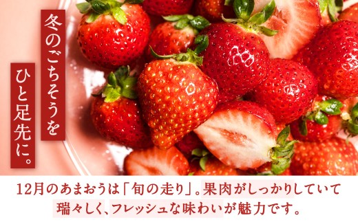福岡県産特産品 うまもぐ厳選果物 福岡県産 博多あまおう DX上級品 約500g（約250g×2パック入り）