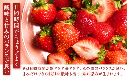 福岡県産特産品 うまもぐ厳選果物 福岡県産 博多あまおう DX上級品 約1kg（約250g×4パック入り）