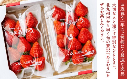 福岡県産特産品 うまもぐ厳選果物 福岡県産 博多あまおう DX上級品 約500g（約250g×2パック入り）