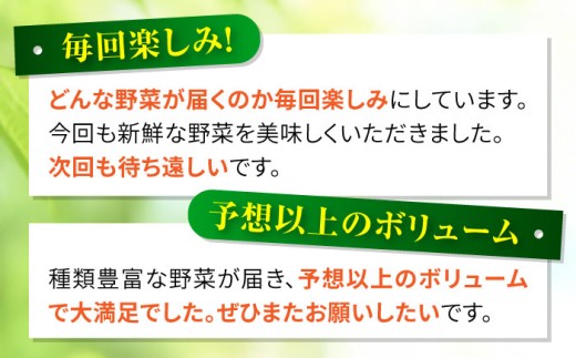 野菜 フルーツ 果物 定期便 旬 新鮮 詰合せ 定期便 12回 産地直送 農産物 農産品 野菜定期便 フルーツ定期便