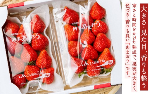 福岡県産特産品 うまもぐ厳選果物 福岡県産 博多あまおう DX上級品 約1kg（約250g×4パック入り）