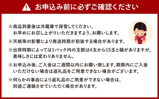 福岡県産特産品 うまもぐ厳選果物 福岡県産 博多あまおう DX上級品 約1kg（約250g×4パック入り）