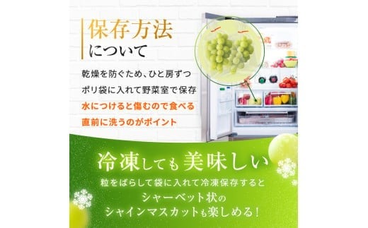 有機栽培　塩尻市桔梗ヶ原産シャインマスカット