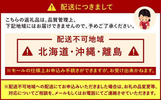 福岡県産特産品 うまもぐ厳選果物 福岡県産 博多あまおう DX上級品 約500g（約250g×2パック入り）