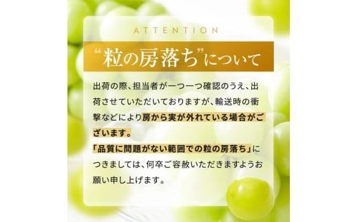 有機栽培　塩尻市桔梗ヶ原産シャインマスカット