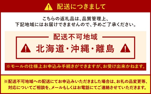 福岡県産特産品 うまもぐ厳選果物 福岡県産 博多あまおう DX上級品 約1kg（約250g×4パック入り）
