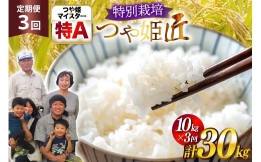 米 定期便 3回 令和7年産 厳選米 匠 特別栽培米 つや姫 10kg 計30kg [金子農園 山形県 高畠町 tk06ays950035] 精米 白米 米 お米 ブランド米 ごはん ご飯
