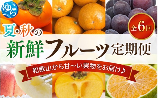 フルーツ 定期便 【全6回】/ 桃 ピオーネ 極早生みかん たねなし柿 富有柿 有田みかん / 和歌山 甘い 果物 【tec-tkb001】