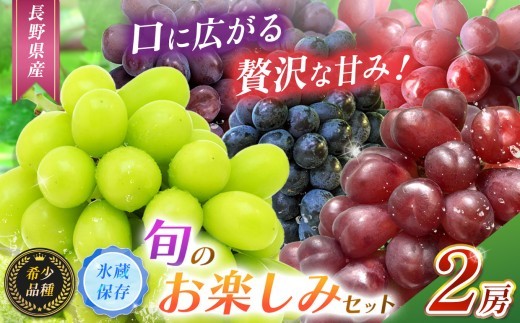 【2025年 先行予約】【希少品種・お楽しみセット】【甘みが増す完熟 氷蔵保存】シャインマスカット１房と旬の完熟１房詰め合わせ【11月上旬頃より順次発送予定】 | シャイン ぶどう 葡萄 くだもの 果物 フルーツ マスカット マイハート クイーンルージュ® BKシードレス 富士の輝き 先行 先行予約 氷蔵保存 長野県 塩尻市 2171374 - 長野県塩尻市