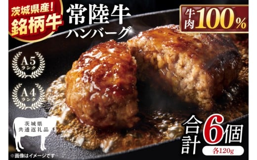 【茨城県共通返礼品】常陸牛100％ ハンバーグ 120g×6個【黒毛和牛 牛肉 銘柄牛 真空 小分け 個包装 冷凍 茨城県 阿見町】(81-46)