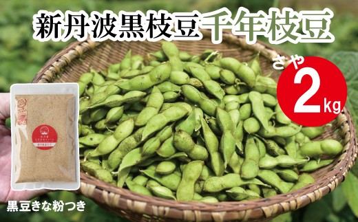 新丹波黒 枝豆 千年枝豆 2kg さや 京都 丹波 京丹波町産 期間限定 生産者限定 国産 こだわり 厳選 黒豆 枝豆 おつまみ きな粉 黒豆きなこ付き [015HY001L] 1471172 - 京都府京丹波町