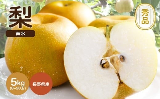 ジューシー で 甘い 梨 ! 長野県産 なし 南水 約5kg 秀品 〈2025年9月中旬～10月中旬発送〉 | 果物 くだもの フルーツ 梨 なし 南水 長野県 信州 南信州 飯田市