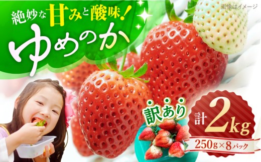 【先行予約】【 訳あり 】 ゆめのか 苺 計2kg （250g×8パック）＜川原農園＞ [CDR005] いちご イチゴ 訳あり 不揃い 259030 - 長崎県西海市