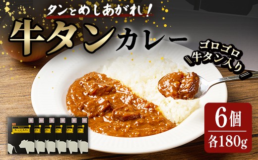牛タンカレー「タンとめしあがれ」6個セット 牛タン 牛たん 牛肉入り レトルトカレー レトルト カレー カレーライス ビーフカレー ごはん ご飯 お弁当【はらから福祉会】sh093 2032950 - 宮城県柴田町