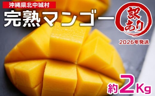 【2026年発送】訳あり品!沖縄県産 完熟マンゴー 約2kg 沖縄県産 先行予約 訳あり 訳アリ フルーツ 果物 くだもの アップルマンゴー アーウィン種 冷蔵 JA 家庭用 お試し 美味しい 沖縄 生産者応援 フードロス 人気 おすすめ お取り寄せ 1491706 - 沖縄県北中城村