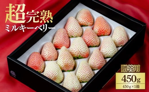 【先行受付:1月中旬以降発送】鈴木ファーム厳選『幻のミルキーベリー』ギフト 450g×1箱 | いちご イチゴ 苺 ミルキーベリー ミルキー 完熟 果物 フルーツ 甘い あまい贈答用 ギフト プレゼント 鈴木ファーム 栃木県 茂木町 2059635 - 栃木県茂木町