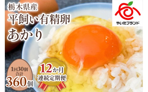 【定期便12回】[平飼い有精卵30個] 濃厚な黄身が特徴 ワタナベファームのおてんば長女【平飼い有精卵あかり】 (毎月お届け）