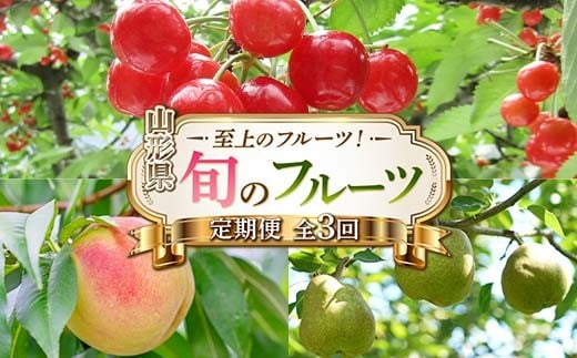 令和8年6月発送開始 山形県 至上のフルーツ！ 山形県旬のフルーツ定期便 全3回 FSY-2278