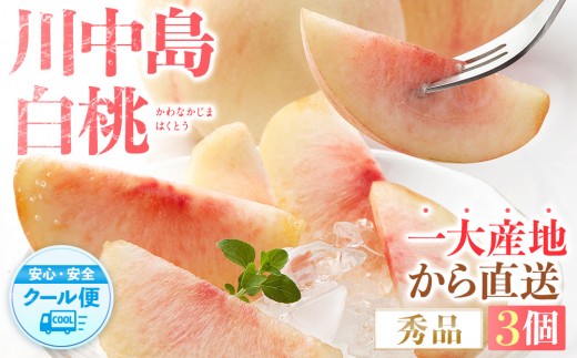 ［秀品］川中島白桃 食べきりやすい3個入り［2026年7月末頃から順次発送］こだわり 農家厳選 先行予約 モモ［KG16］ 1445268 - 和歌山県和歌山市