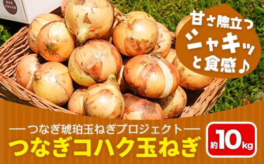 玉ねぎ つなぎコハク玉ねぎ 約10kg《4月中旬-5月中旬出荷》熊本県 葦北郡 津奈木町 つなぎ琥珀玉ねぎプロジェクト 野菜 たまねぎ