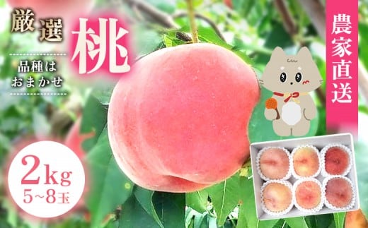 《7月中旬～9月中旬出荷》 宮城県丸森町産 桃 5～8玉（約2kg）【48004】 2120877 - 宮城県丸森町
