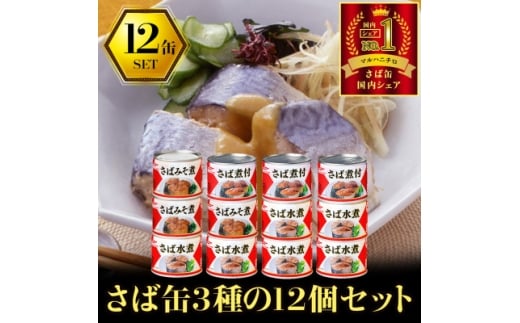 マルハニチロ さば3種(水煮、みそ煮、煮付)缶詰アソート 190g×12缶 ふるさと納税【1658984】 2254402 - 青森県青森市