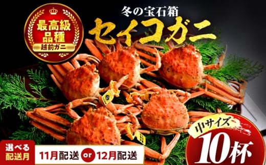 [先行予約] [希望月指定可] セイコガニ(ズワイガニのメス)中サイズ 10杯/ 越前ガニ コッペガニ せいこ蟹 ボイル 小浜市 / まるほ商店 [配送不可地域:北海道・沖縄・離島][BFCS017]