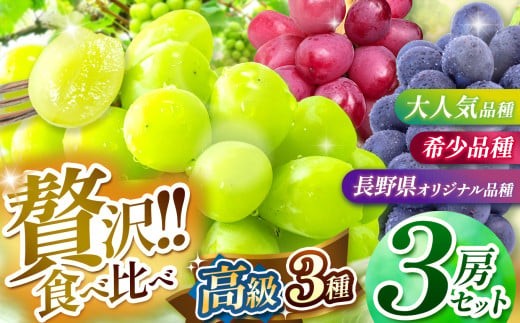 【先行予約】【9月中旬頃～発送予定】 シャインマスカット・ナガノパープル・クイーンルージュ® 3房セット | 果物 くだもの フルーツ 葡萄 ぶどう ブドウ ナガノ パープル クイーンルージュ® シャイン マスカット 長野県 塩尻市