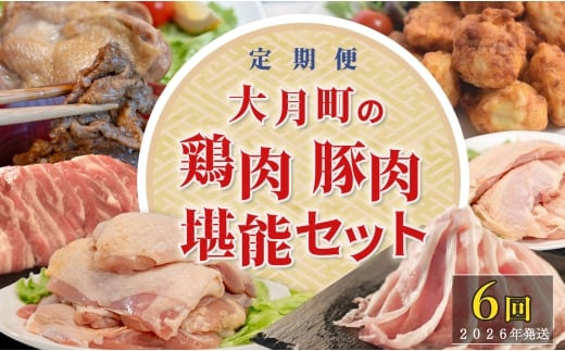 【定期便6回】よさこい尾鶏×力豚