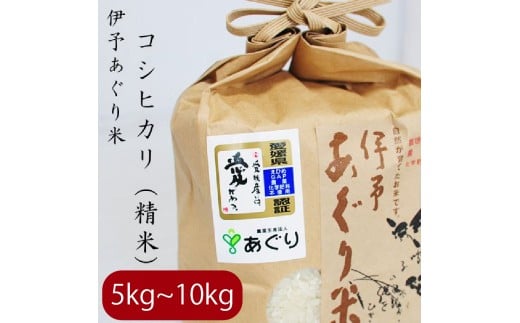 【選べるキロ数】米 精米 5kg 伊予あぐり米「コシヒカリ」 令和7年産 米 農薬・化学肥料不使用 米 精米 令和7年産 米 お米 こめ 農薬・化学肥料不使用 こだわりのお米 愛媛県 松前町 松前 まさき 愛媛 えひめ おこめ 有限会社あぐり 愛媛県産米 松前町産米 美味しいお米 おにぎり お米 贈答 贈り物 愛媛県 松前町 有限会社あぐり 1466359 - 愛媛県松前町