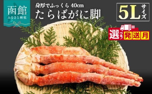 5Lサイズたらばがに脚1kg_HD065-004-sku