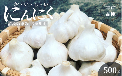 古座川町の恵みが育んだ ご縁座の乾燥にんにく 500g / にんにく 乾燥にんにく ガーリック【gnz107】 2255445 - 和歌山県古座川町