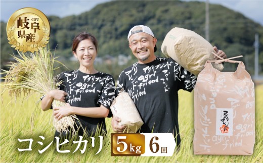 【 6回 定期便 】 令和7年産 コシヒカリ 5kg × 6回 米 こめ ごはん 白米 岐阜県産 本巣市 お米 精米 甘い 和食 寿司 アグリフレンドホリグチ
