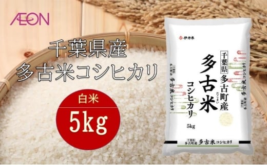 令和7年産　千葉県産 多古米コシヒカリ5kg　米 お米 こめ コメ 白米 精米 ブランド米 こしひかり ご飯 ごはん おにぎり お弁当 [№5346-1946]