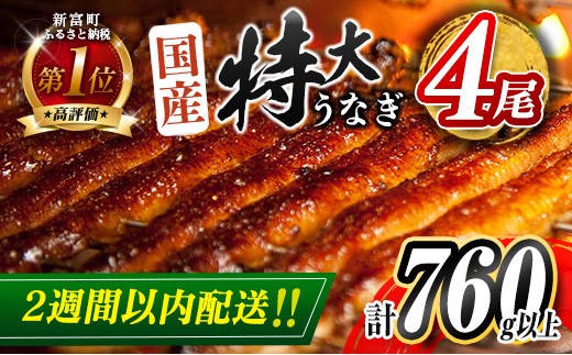 ＜2週間以内に配送＞特大 うなぎ 鰻楽 国産 蒲焼 4尾 人気 無頭 計760g以上 高評価 おすすめ 冷凍 簡単調理 個包装 鰻 魚介 贈答品 ギフト 贈り物【C388-760-2w】