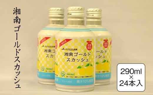 湘南ゴールドスカッシュ 290ml×24本入り【 神奈川県 山北町 】 2260008 - 神奈川県山北町