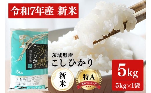 令和7年産 新米 コシヒカリ 米 5kg 白米 こめ こしひかり 国産 国産米 取り寄せ ごはん ご飯 コメ お取り寄せ お弁当 弁当 おにぎり 産地直送 特産  ギフト プレゼント 贈り物 茨城県 笠間市 いばらき
