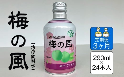【定期便3ヶ月】梅の風(清涼飲料水) 290ml×24本入り【 神奈川県 山北町 】 2260004 - 神奈川県山北町