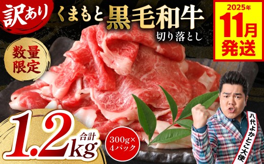 【訳あり】 くまもと黒毛和牛 切り落とし 1.2kg（300g×4）（ 黒毛和牛 牛肉 和牛 ブランド牛 ブランド和牛 訳あり牛肉 ブランド牛肉 牛肉切り落とし ブランド牛切り落とし 小分け 熊本県産 くまもと 国産 人気 毎月数量限定 ）【2025年11月発送】 