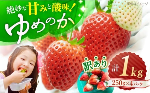いちご 【先行予約】 【 訳あり 】 ゆめのか 苺 計 1kg （250g×4パック）＜川原農園＞ [CDR001] 長崎 西海 イチゴ いちご 苺 ゆめのか いちご 訳あり 家庭用 8千円 8000円 1万円以下 241636 - 長崎県西海市