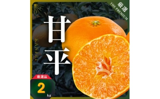 ＜愛媛限定＞驚きの甘さ!幻の柑橘《甘平》2kg(M～3L玉混合)＜D31-55＞【1660047】