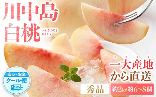 先行予約！［モモ］川中島白桃　約2kg 6～8個入［2026年7月末頃から順次発送］［秀品］こだわり農家厳選 ［KG13］ 1445267 - 和歌山県和歌山市
