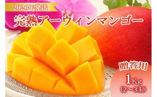 <先行予約2026年発送>宮古島産“完熟アーウィンマンゴー”《贈答用》1kg【福来多まつばらマンゴー園】(MF01) 2159547 - 沖縄県宮古島市
