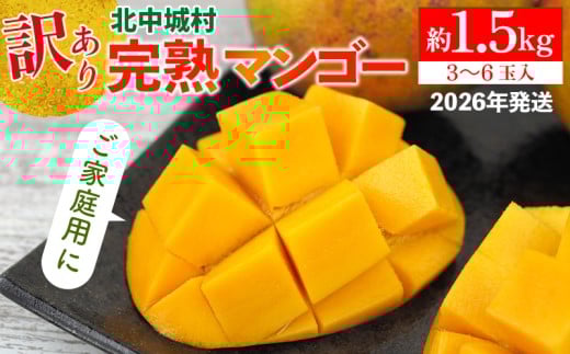 【2026年発送】訳あり 完熟マンゴー 約1.5kg 沖縄県産 先行予約 訳あり 訳アリ フルーツ 果物 くだもの アップルマンゴー アーウィン種 冷蔵 JA 家庭用 お試し 美味しい 沖縄 生産者応援 フードロス 人気 おすすめ お取り寄せ 347525 - 沖縄県北中城村
