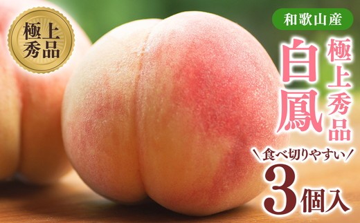 桃先行受付! 桃の王様[白鳳] 特秀品 食べきりやすい3個入り