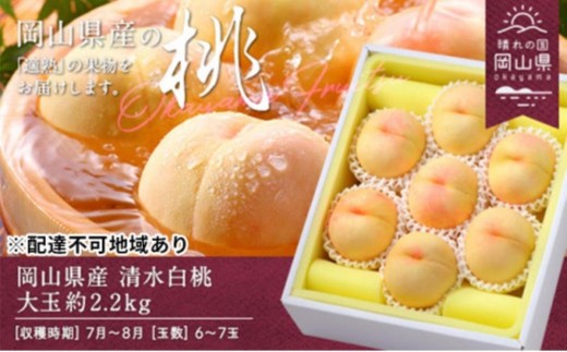 桃 2026年 岡山県産 清水白桃 大玉  約2.2kg 6～7玉（クール便）