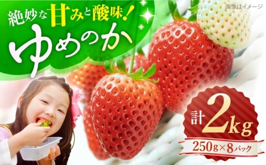いちご【先行予約】 ゆめのか いちご 計2kg（250g×8パック） ＜川原農園＞ [CDR010] 長崎 西海 イチゴ いちご 苺 ゆめのか いちご イチゴ  625606 - 長崎県西海市