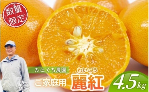 【数量限定】ご家庭用 たにぐち農園の麗紅 (れいこう)  約4.5㎏ Lサイズ以上 みかん ミカン 柑橘 フルーツ 果物 くだもの 家庭用 れいこう オレンジ 旬 産地直送 農家直送 【2026年2月より順次発送予定】
