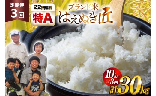 米 定期便 3回 令和7年産 はえぬき 10kg 計30kg [金子農園 山形県 高畠町 tk06ays950023] 精米 白米 米 お米 ブランド米 ごはん ご飯