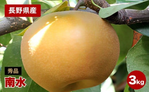 ジューシーで甘い! 長野県産 梨 なし 南水 約3kg 秀品 〈2025年9月中旬～10月中旬発送〉| 果物 くだもの フルーツ 梨 なし 南水 長野県 信州 南信州 飯田市